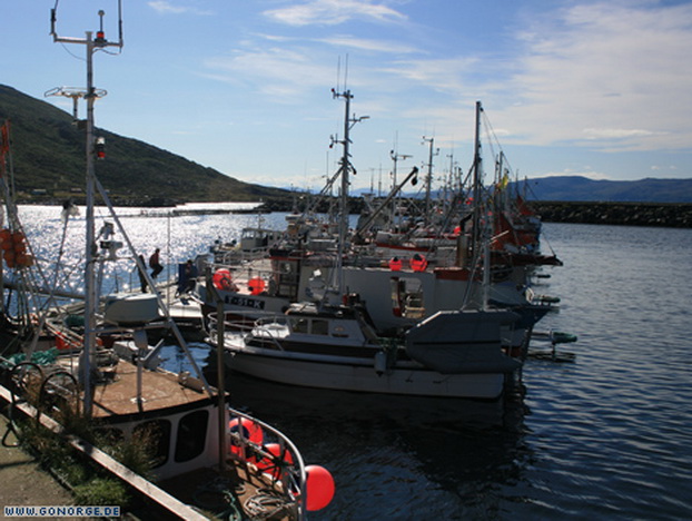 Fischerboote in Torsvag