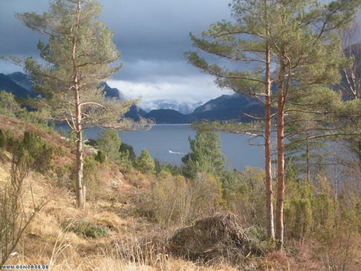 Panoramabild Björnafjord