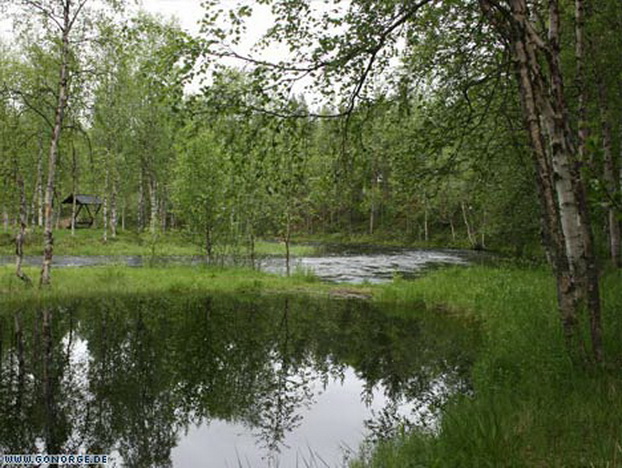 Fluss in Finnland
