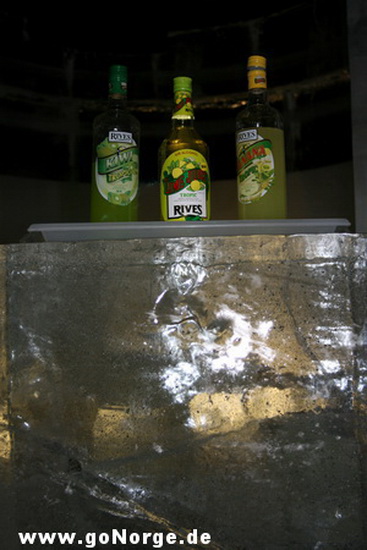 Eisbar Honningsvag